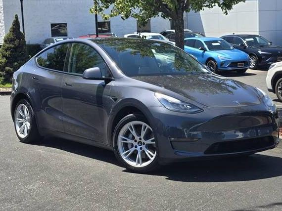 TESLA MODEL Y 2021 5YJYGDEE3MF160892 image